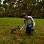 Een joey