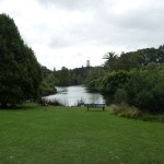 Royal Botanic Garden (3)