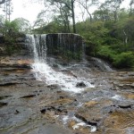 Blue Mountains (1)