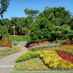 Roma Street Parkland (2)